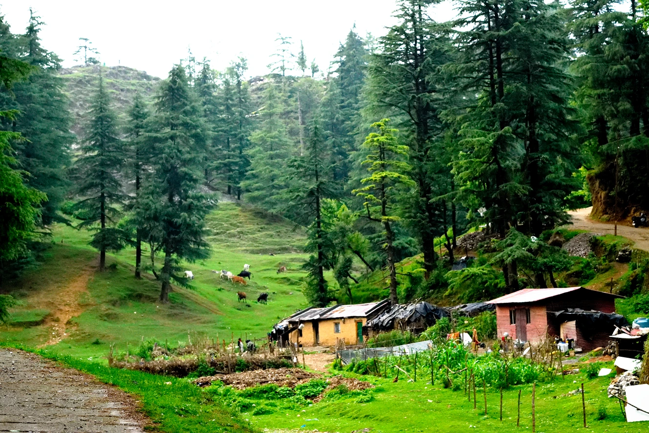 Dehradun - Mussoorie - Rishikesh